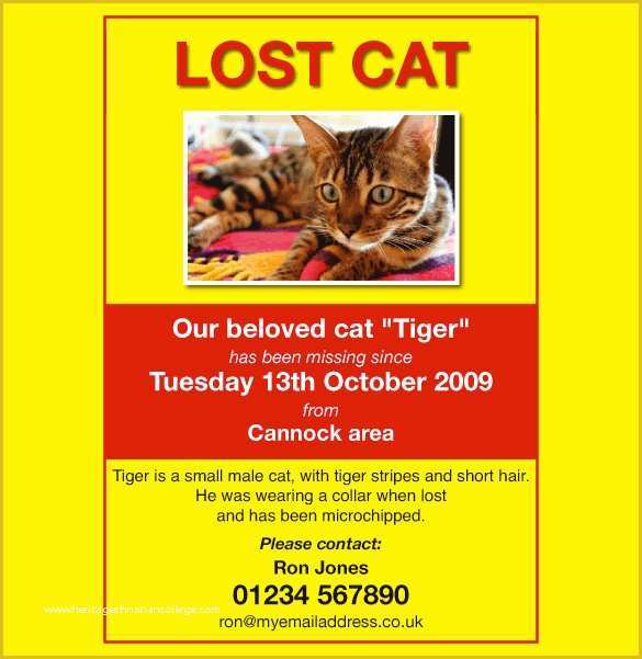Free Lost Cat Flyer Template Of 19 Lost Pet Flyers Psd Ai Vector Eps