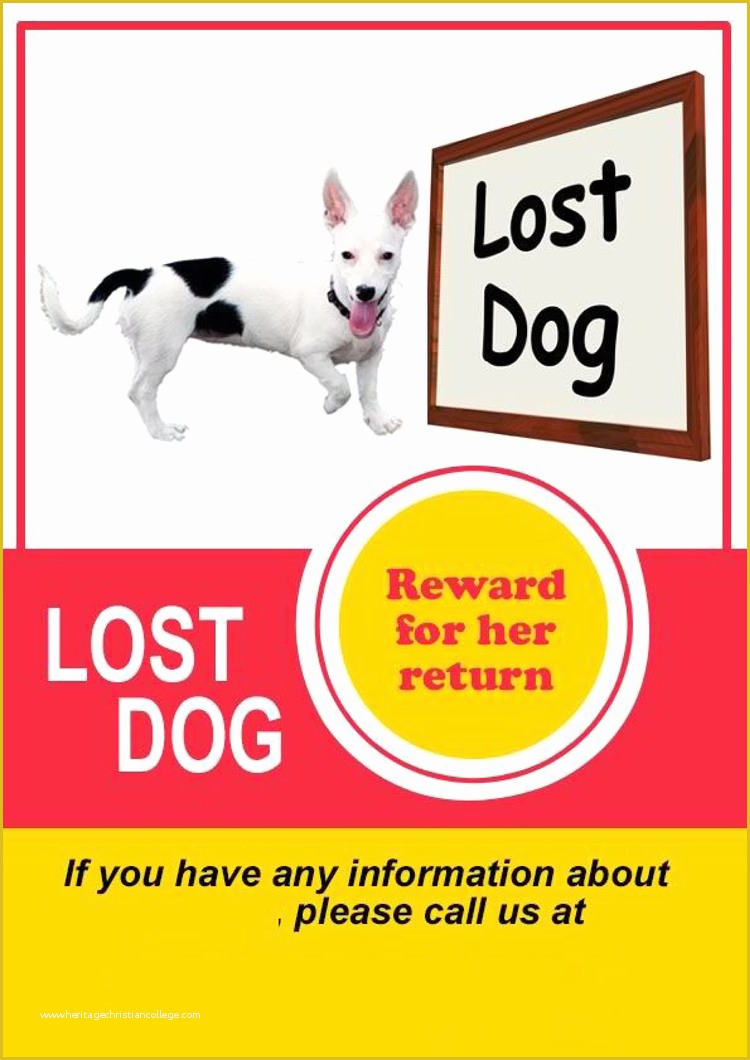 Free Lost Cat Flyer Template Of 20 Lost Cat Dog Flyer &amp; Poster Templates for Microsoft