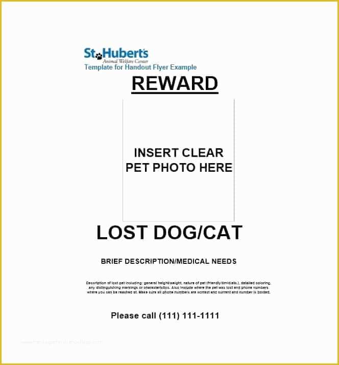 Free Lost Cat Flyer Template Of 40 Lost Pet Flyers [missing Cat Dog Poster] Template