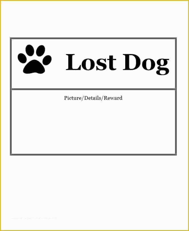 Free Lost Cat Flyer Template Of 40 Lost Pet Flyers [missing Cat Dog Poster] Template