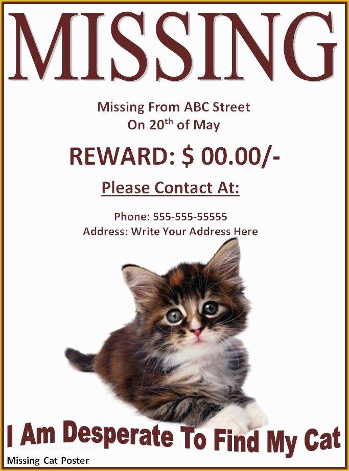 Free Lost Cat Flyer Template Of 9 Best Of Missing Dog Flyer Template Free Lost