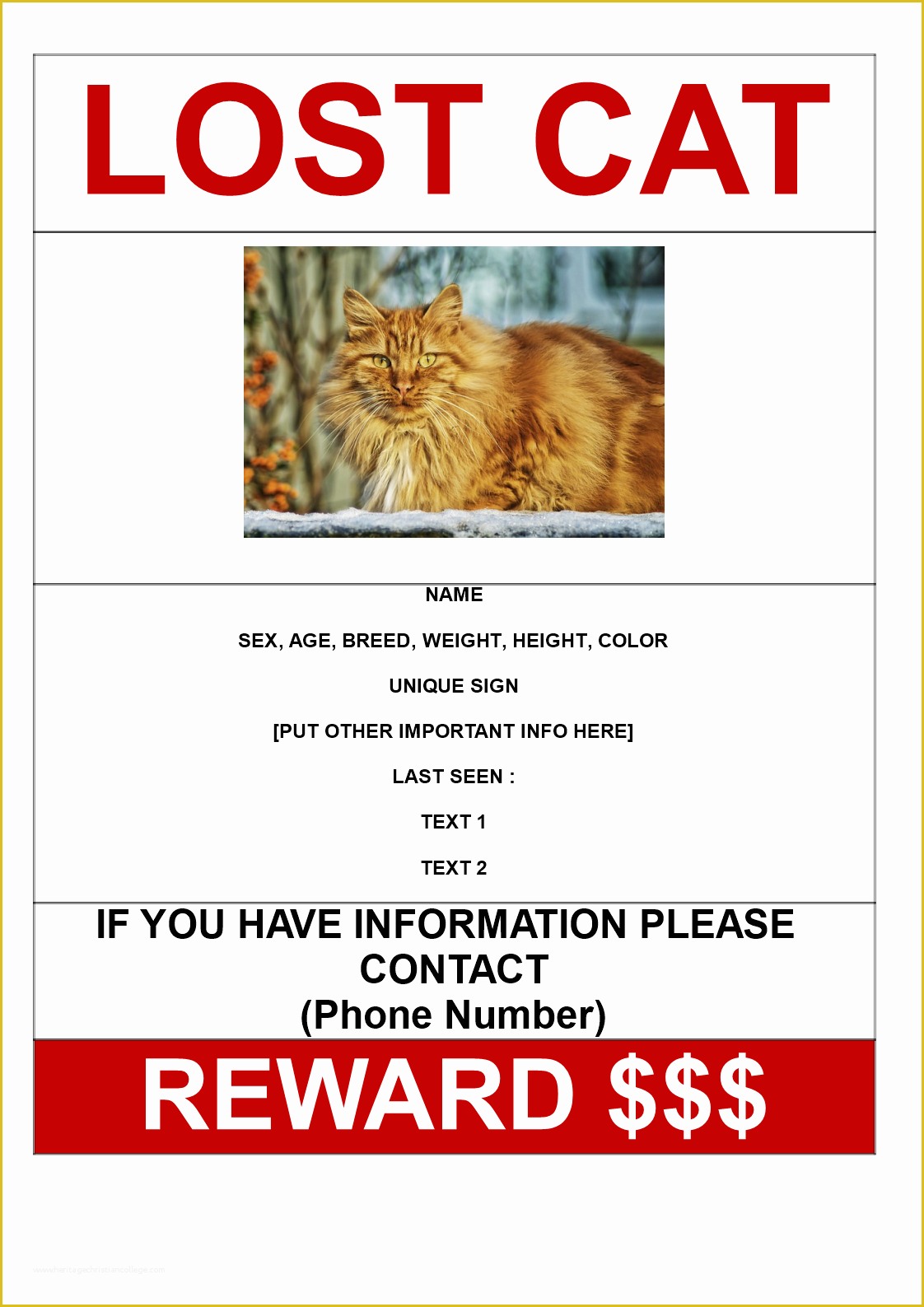 Free Lost Cat Flyer Template Of Free Lost Cat with Reward Model A3 Template