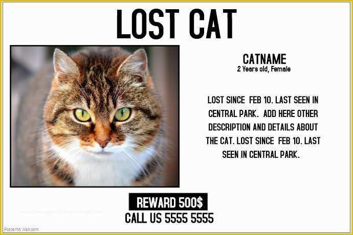 Free Lost Cat Flyer Template Of Lost Cat Lost Pet Landscape Poster Template