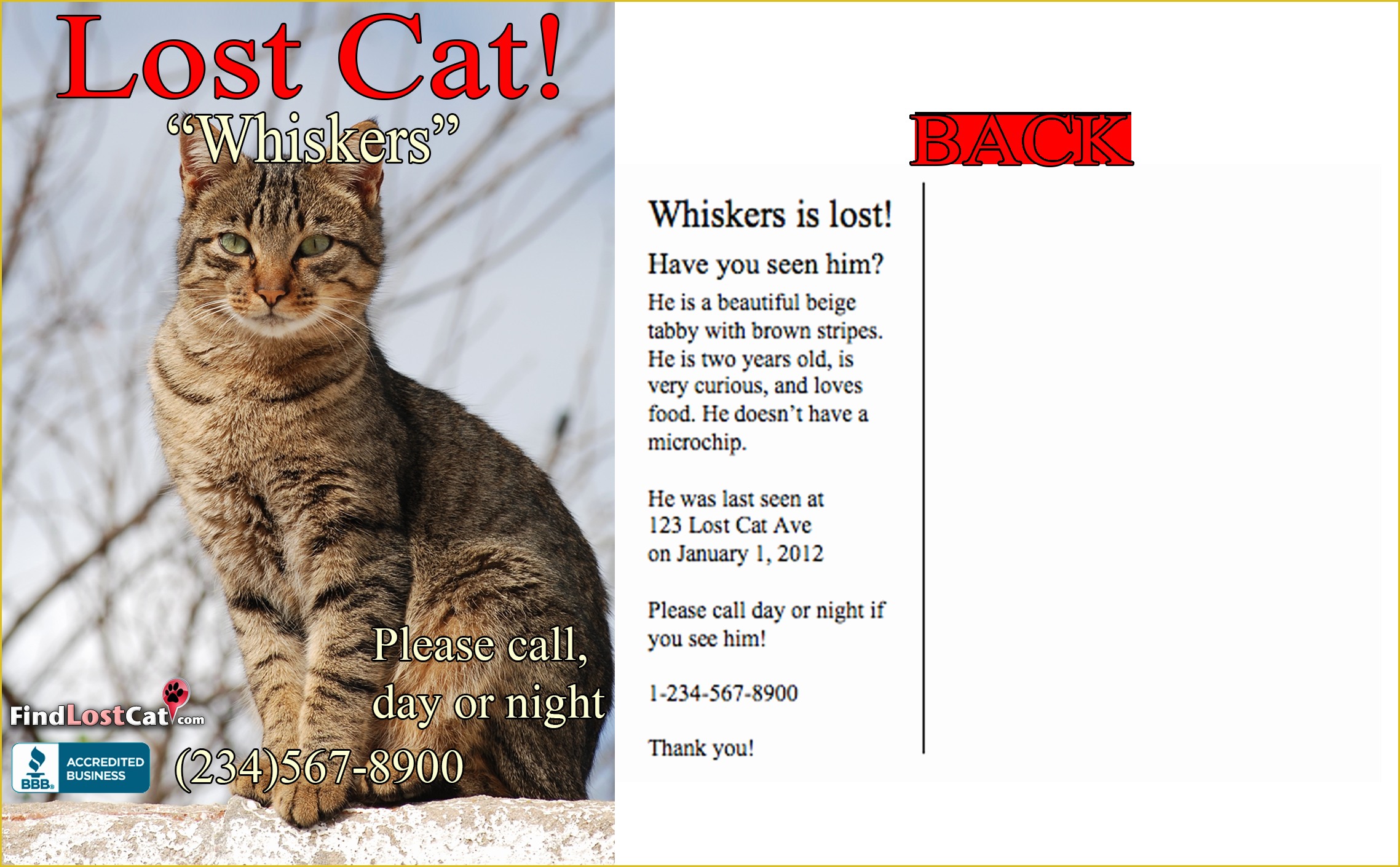 Free Lost Cat Flyer Template Of Lost Pet Flyer Template Free Portablegasgrillweber