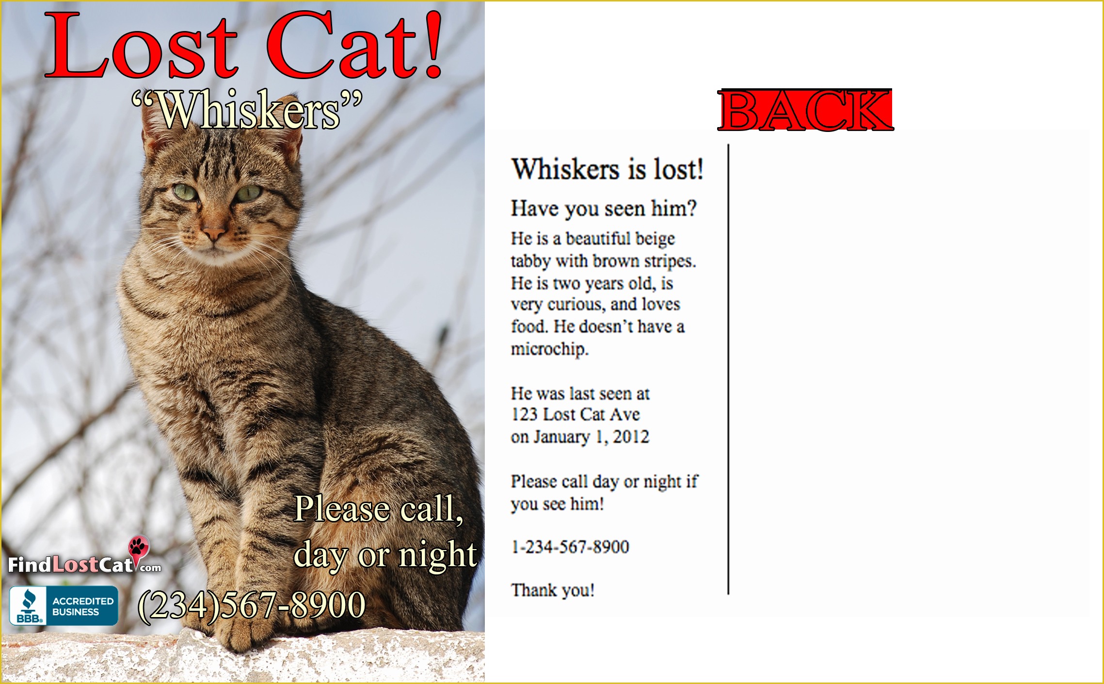 33-free-lost-cat-flyer-template-heritagechristiancollege