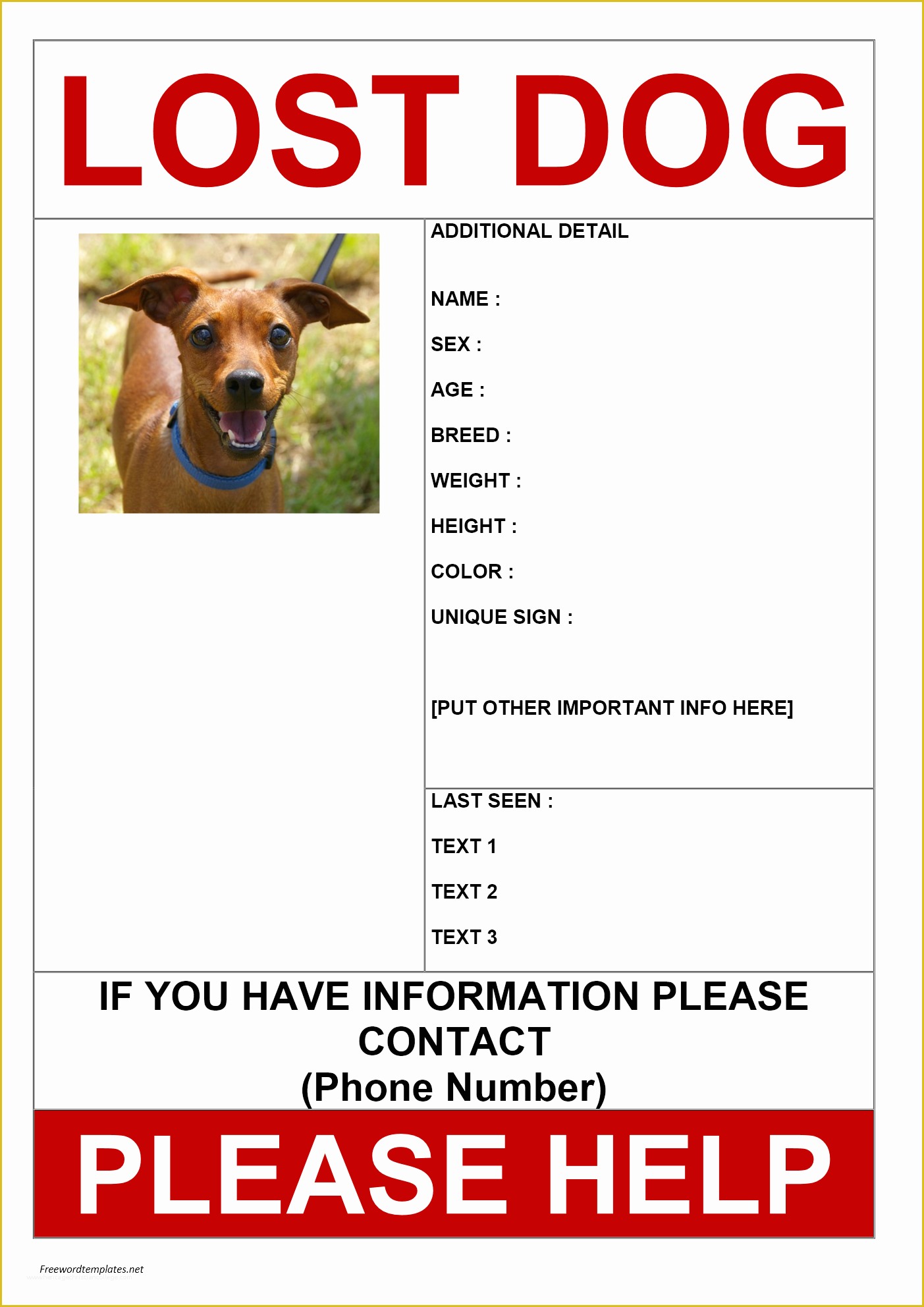 Free Lost Cat Flyer Template Of Missing Dog Poster