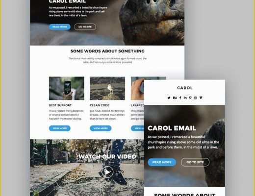 Free Mailchimp Templates Of Best Mailchimp Templates to Level Up Your Business Email