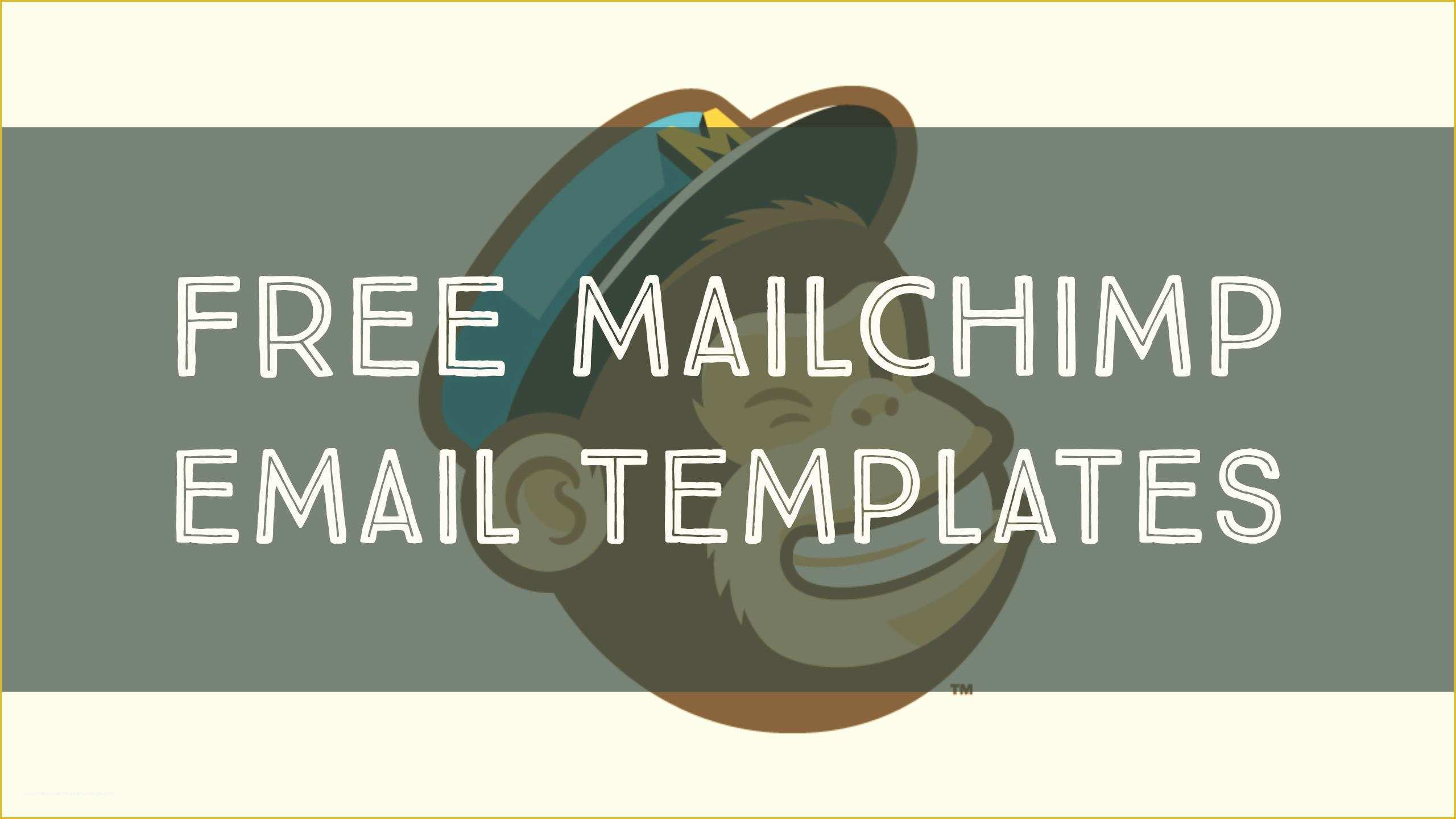 Free Mailchimp Templates Of top 25 Free & Paid Mailchimp Email Templates 2018 Colorlib
