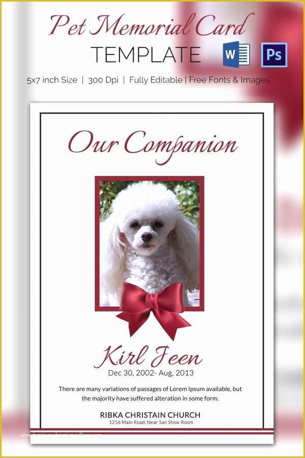 Free Memorial Card Template Of Pet Memorial Card 5 Word Psd format Download