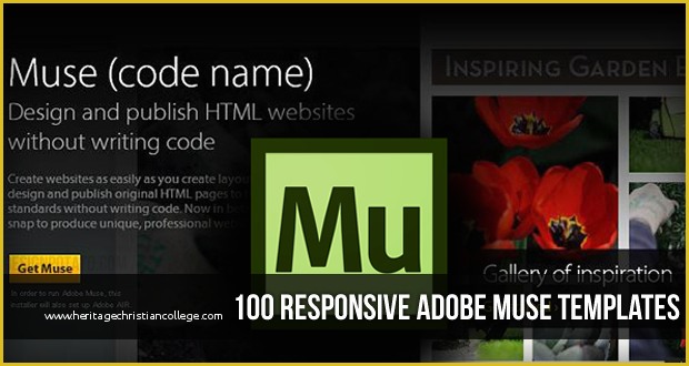 Free Muse Templates Of 100 Best Responsive Adobe Muse Templates