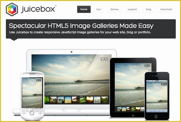 Free Muse Templates Of Embedding Juicebox Gallery In Adobe Muse