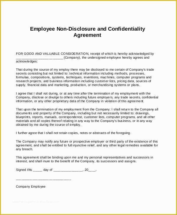 Free Nda Template Of Standard Non Disclosure Agreement form – 10 Free Word