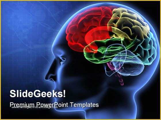 Free Neurology Powerpoint Templates Of Brain Science Powerpoint Template 0610