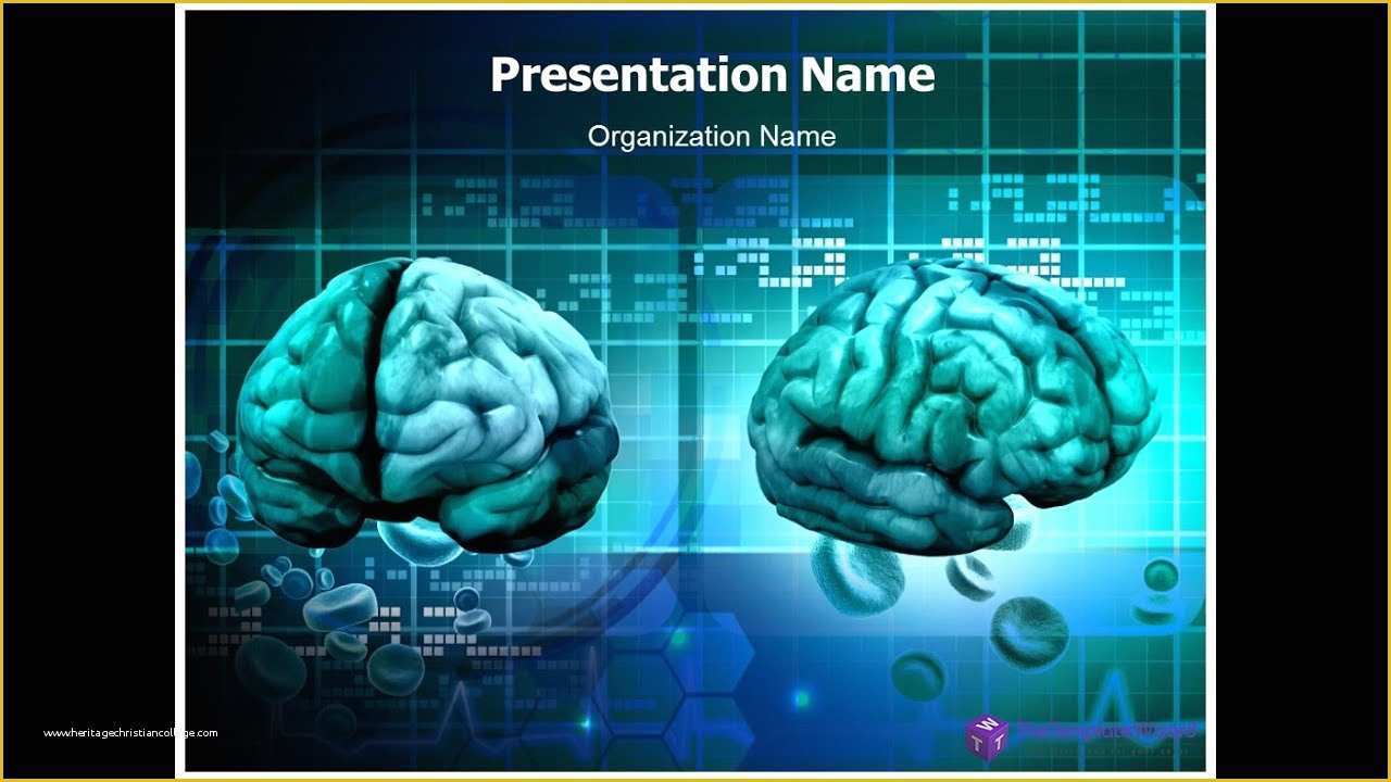 Free Neurology Powerpoint Templates Of Ecg and Brain Powerpoint Presentation Template