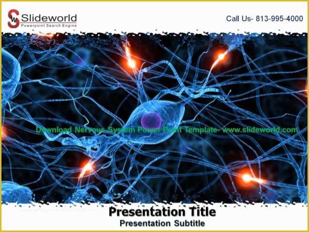 Free Neurology Powerpoint Templates Of Nervous System Powerpoint Template