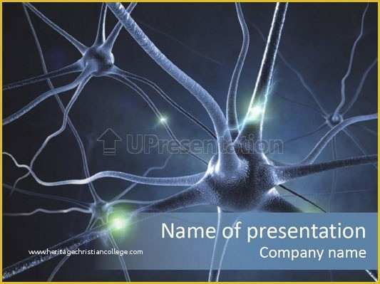Free Neurology Powerpoint Templates Of Neurology Powerpoint Template – Harddancefo