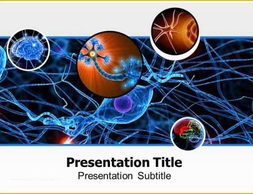 Free Neurology Powerpoint Templates Of Neurology Powerpoint Template is Widely Used for