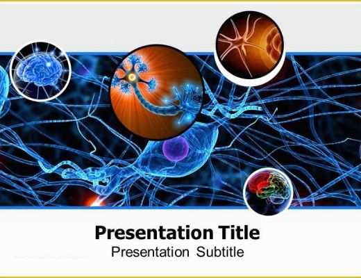 Free Neurology Powerpoint Templates Of Neurology Powerpoint Template is Widely Used for