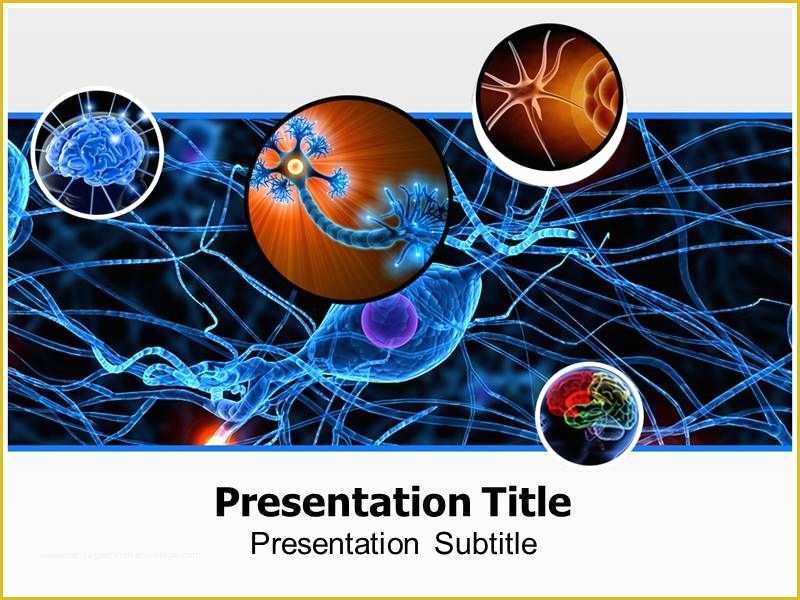 Free Neurology Powerpoint Templates Of Neurology Powerpoint Template is Widely Used for