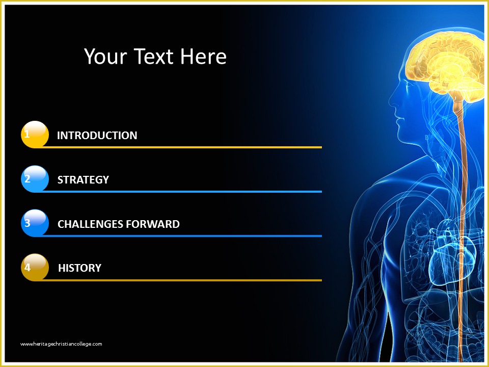 Free Neurology Powerpoint Templates Of Neurology Powerpoint Template Neurology Powerpoint