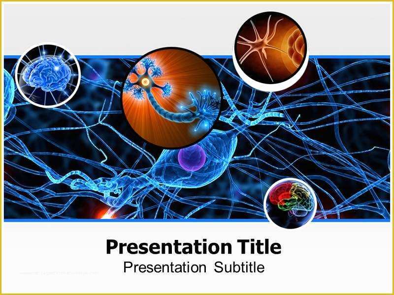Free Neurology Powerpoint Templates Of Neurology Powerpoint Templates and Backgrounds