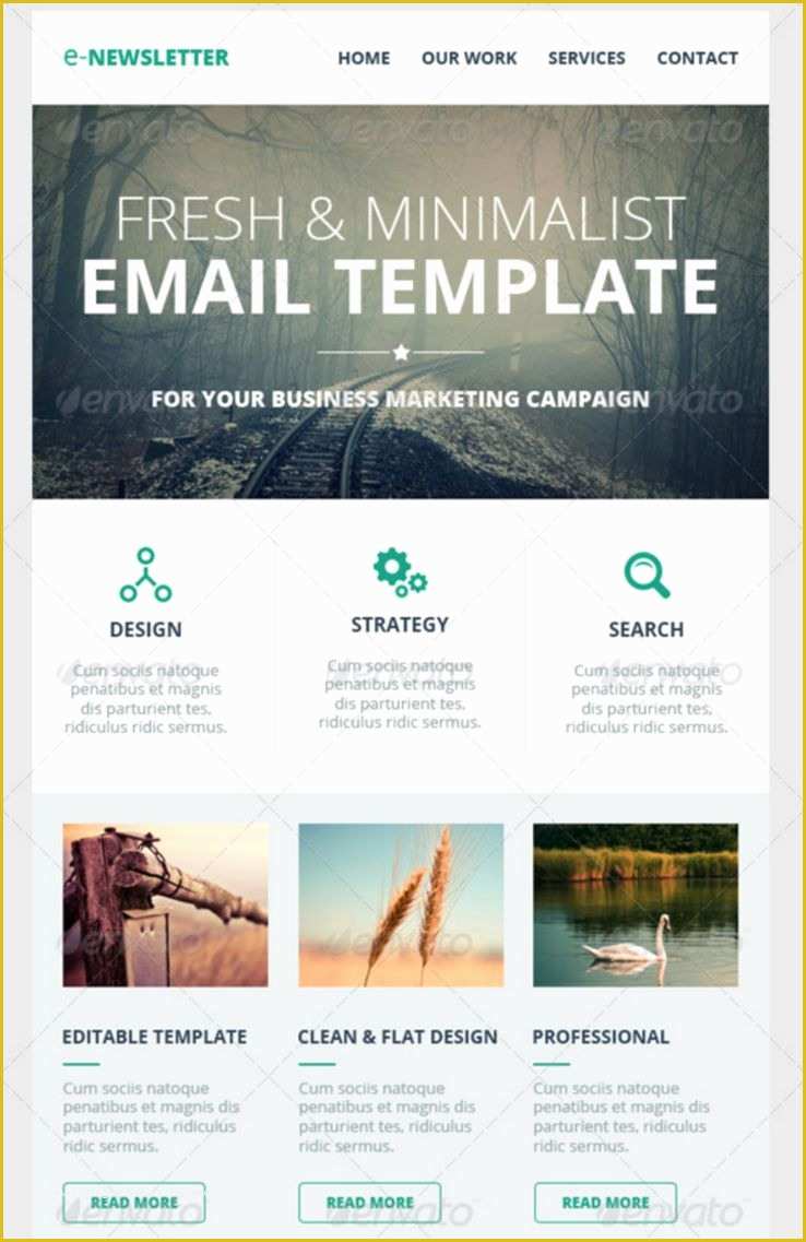 Free News Bulletin Templates Of Email Newsletter Templates