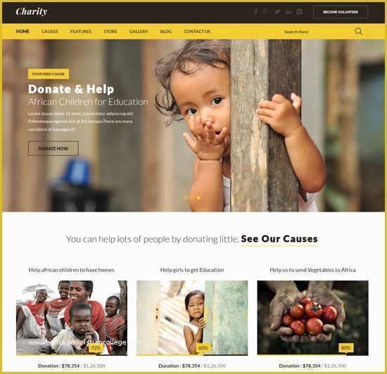 Free Non Profit Website Templates Of 11 Effectively Designed Charity Website Templates