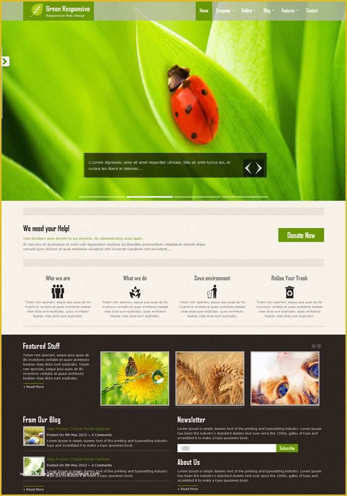 Free Non Profit Website Templates Of 15 Non Profit Website Design HTML Templates