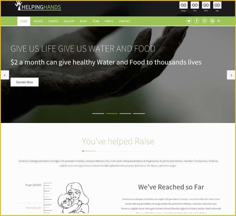 Free Non Profit Website Templates Of 17 Best Non Profit Website themes & Templates