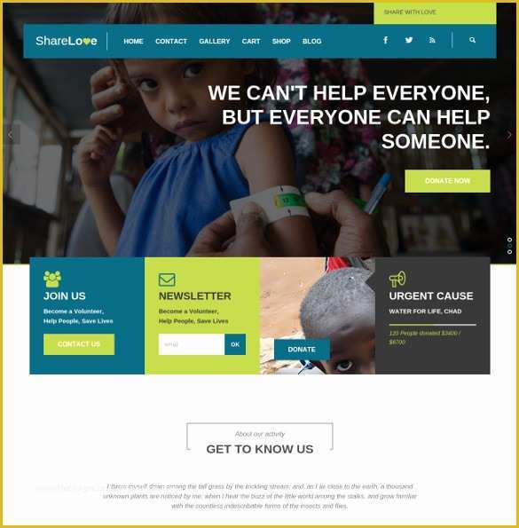 Free Non Profit Website Templates Of 19 Non Profit Website themes & Templates