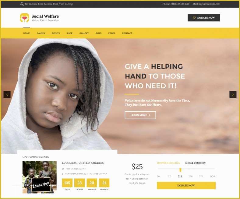 Free Non Profit Website Templates Of 31 Non Profit Website themes & Templates