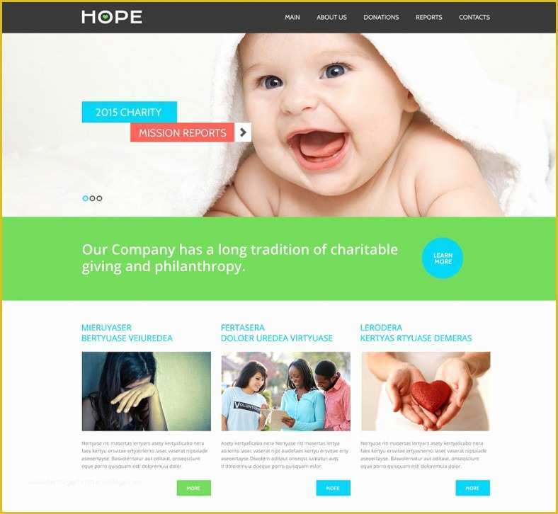 Free Non Profit Website Templates Of 31 Non Profit Website themes & Templates