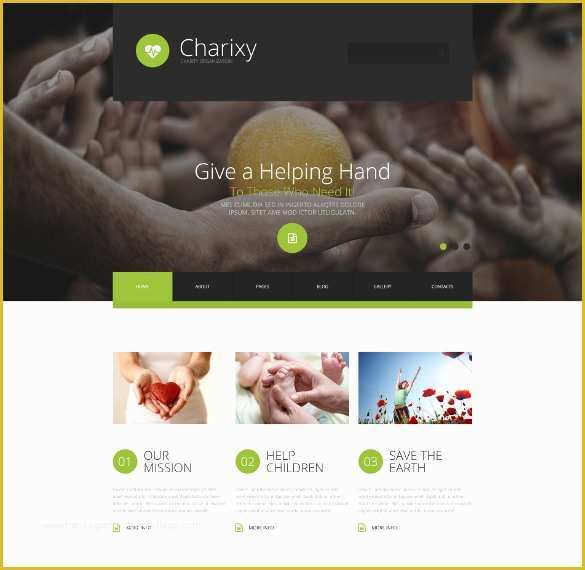 Free Non Profit Website Templates Of 34 Non Profit Website themes & Templates