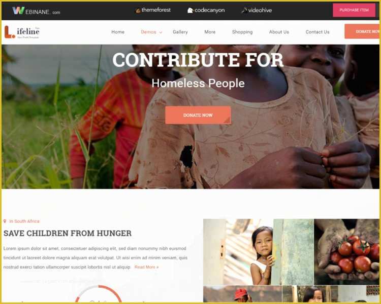 Free Non Profit Website Templates Of Non Profit HTML Website Templates