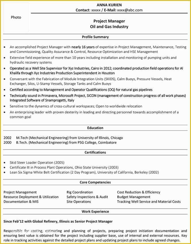 Free Oil and Gas Resume Templates Of Project Manager Core Petencies Resume Examples Resume