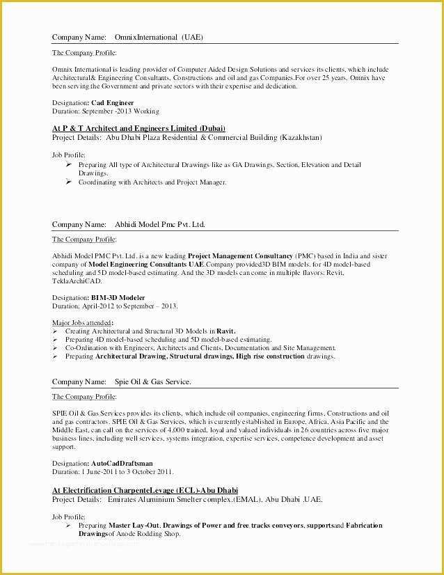 best resume format for oil and gas industry