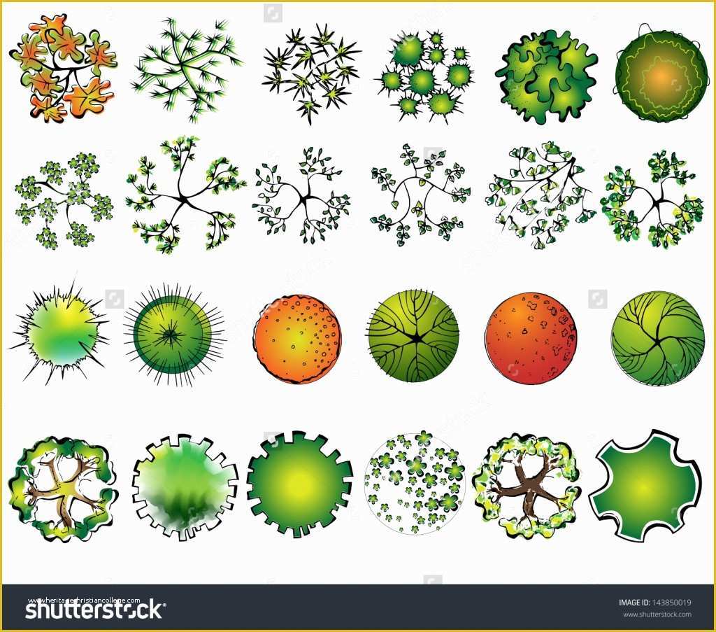 Free Online Landscape Design Templates Of Landscape Design Drawing Symbols Drawing Sketch Library