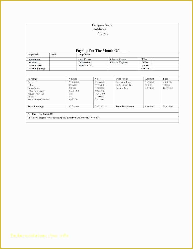 Free Pay Stub Template Download Of Word Pay Stub Template Download A Free for Excel Check
