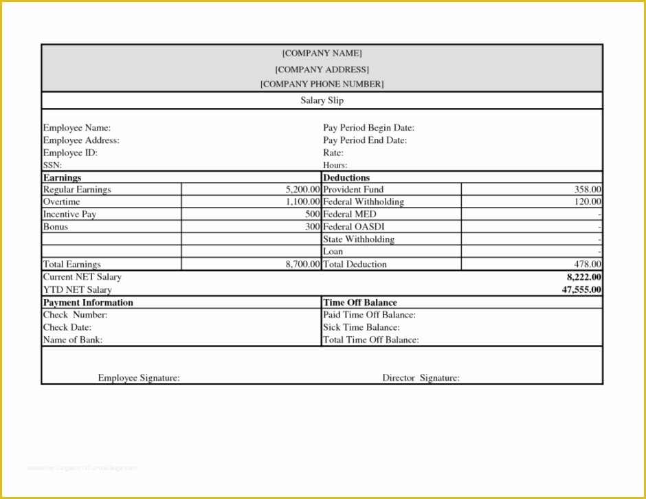 Free Pay Stub Template Word Of 10 Pay Stub Templates Word Excel Pdf formats