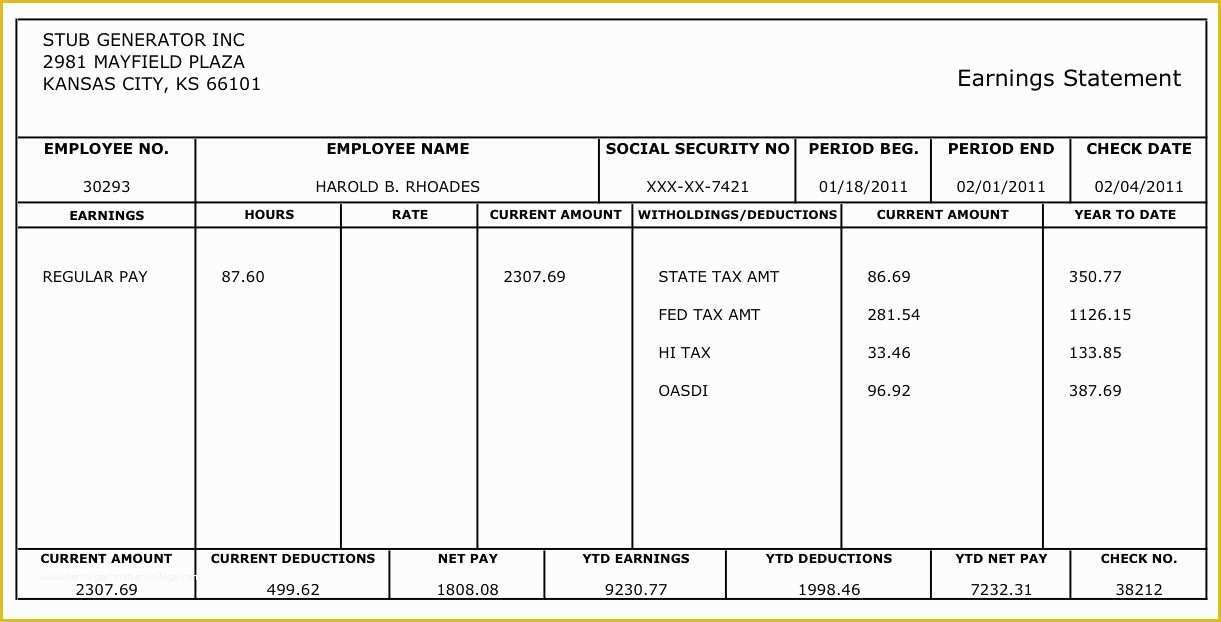 45 Free Paystub Template