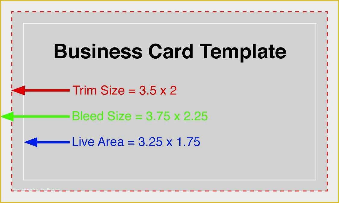 business card template pdf free download