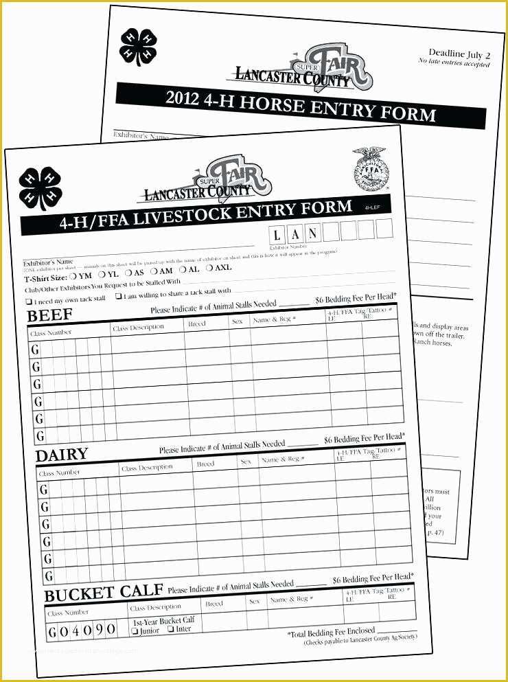 Free Printable Contest Entry form Template Of Raffle Tickets Sheet ate Free Art Petition Entry