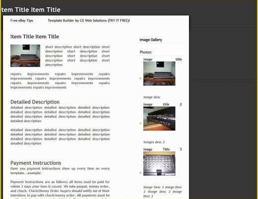 Free Professional Ebay Templates Of Professional Free Ebay Template Builder