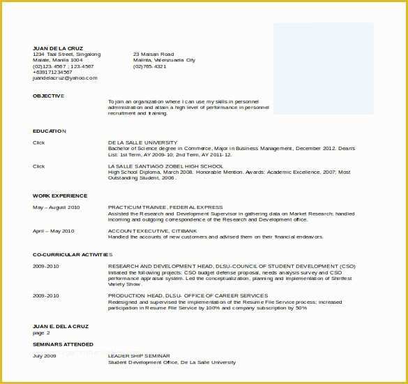 Free Professional Resume Templates Of 26 Word Professional Resume Template Free Download