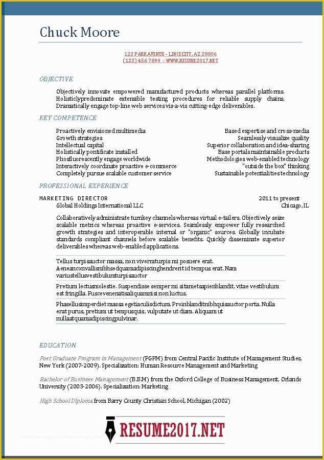 Free Professional Resume Templates Of Professional Resume Template 2017