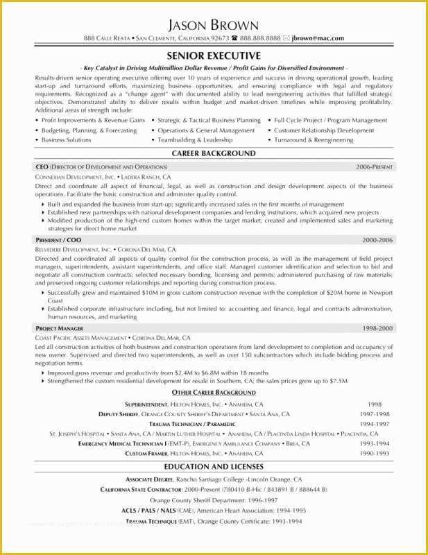 Free Professional Resume Templates Of Professional Resume Template Free Download