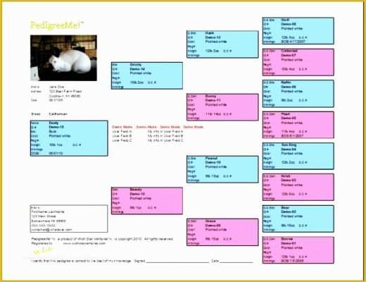 Dog Pedigree Forms Free Download