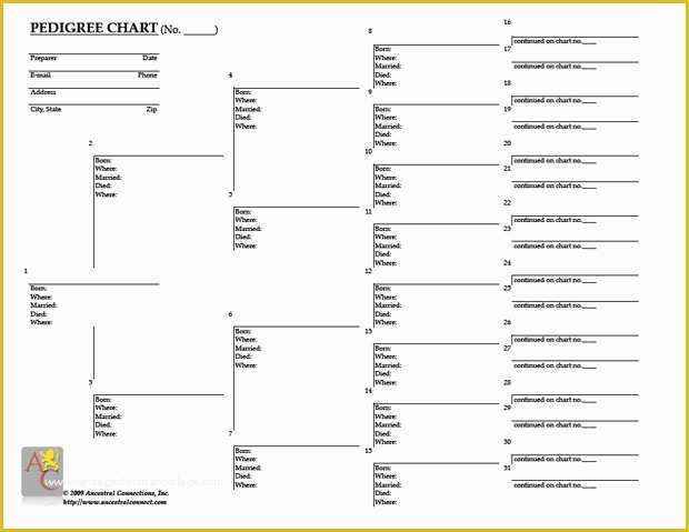 Free Rabbit Pedigree Template Of 8 Best Of Free Blank Pedigree Chart Templates