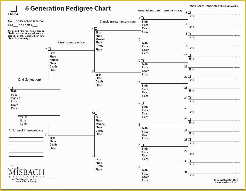 Free Rabbit Pedigree Template Of 8 Best Of Free Blank Pedigree Chart Templates