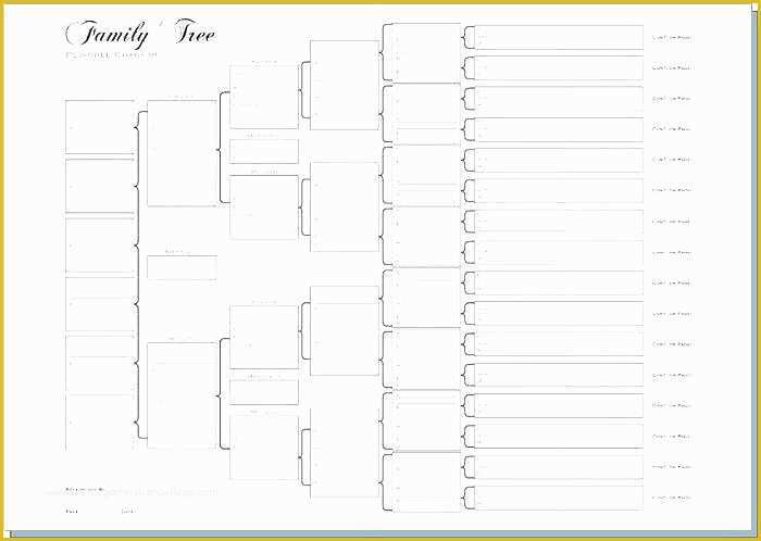 Printable Rabbit Pedigree Forms